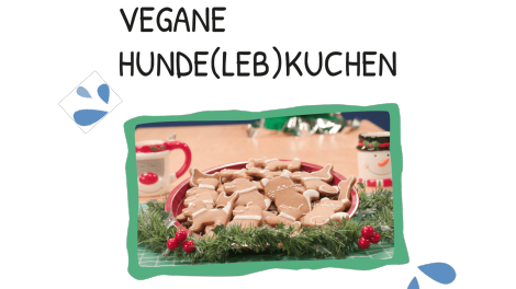 Rezept aus Moppis Leckerladen; Quelle: rbb