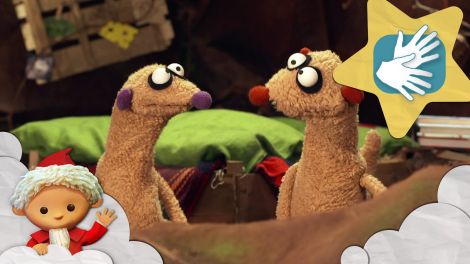 Jan und Henry: Der Affe im Segelflugzeug (Quelle: rbb)