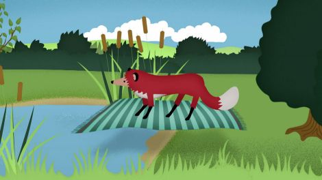 Impressionen: Fuchs (Quelle: rbb)