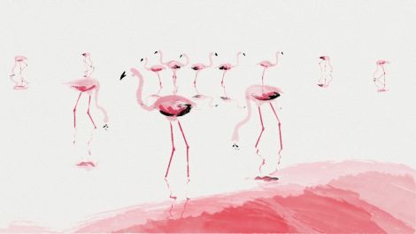 Snoozledoo: Flamingos (Quelle: rbb)